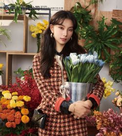 花開富貴 賀新年
